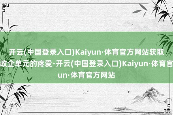 开云(中国登录入口)Kaiyun·体育官方网站获取了无边政企单元的疼爱-开云(中国登录入口)Kaiyun·体育官方网站