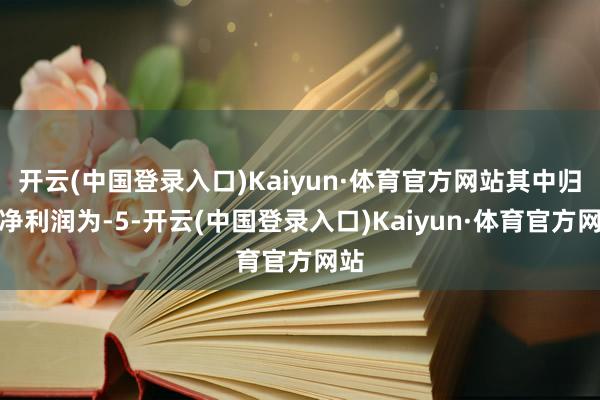 开云(中国登录入口)Kaiyun·体育官方网站其中归母净利润为-5-开云(中国登录入口)Kaiyun·体育官方网站